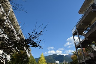 DSC_0004