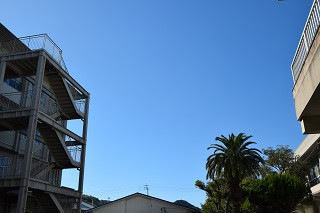 DSC_0002