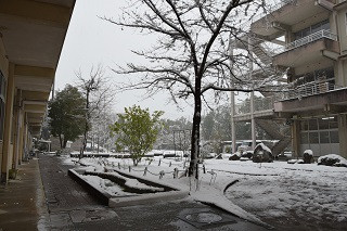 DSC_0018