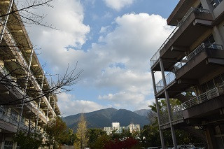 DSC_0002 - コピー